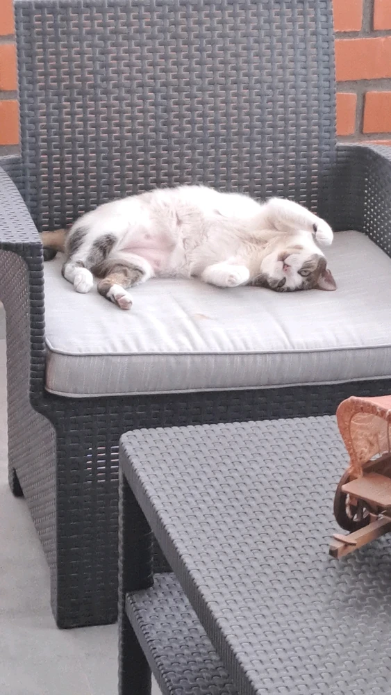 GIF subido por Jose Alonso