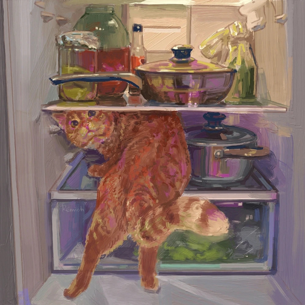 GIF uploaded by Franky