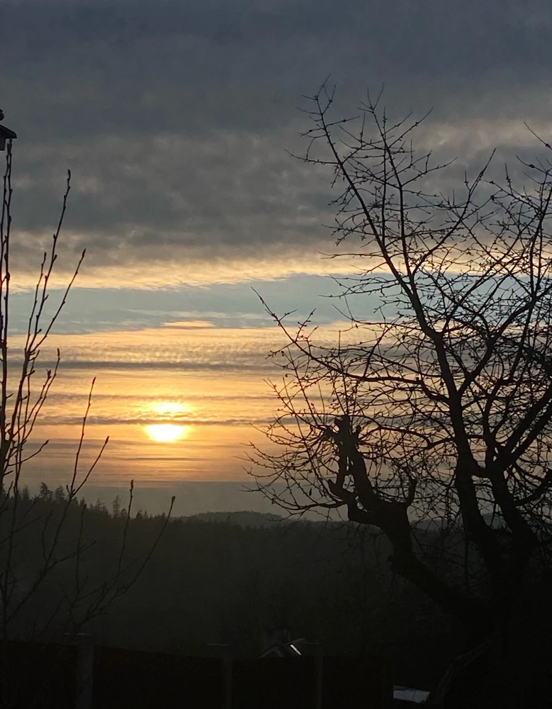 GIF nahrál Veronika