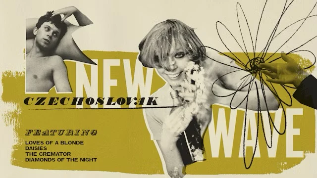 Image uploaded by Kevin