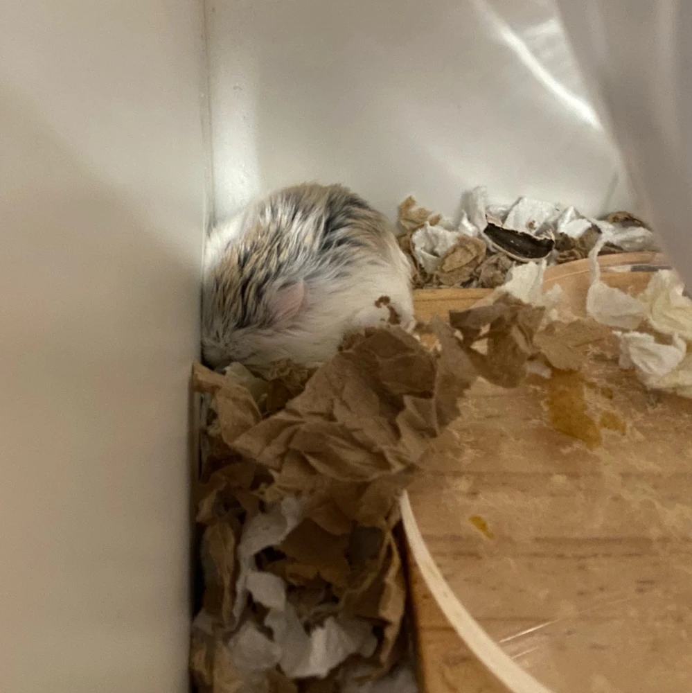 Image uploaded by Nicole