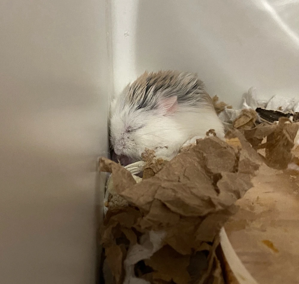 Image uploaded by Nicole