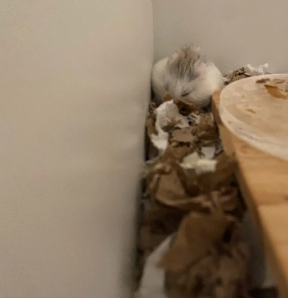 Image uploaded by Nicole