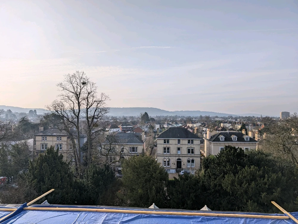 Image uploaded by Ben