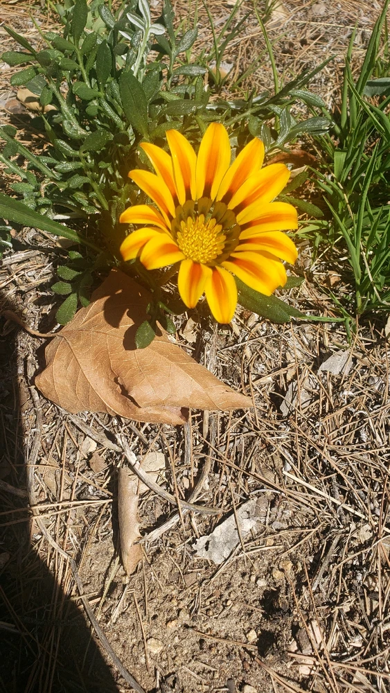 Image uploaded by laila♡