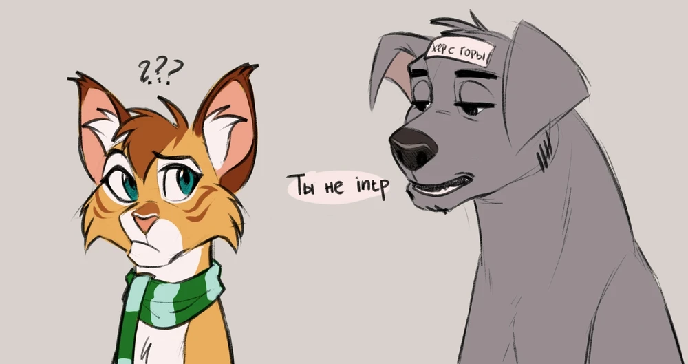 Фото загрузил Анна (Зацепка)