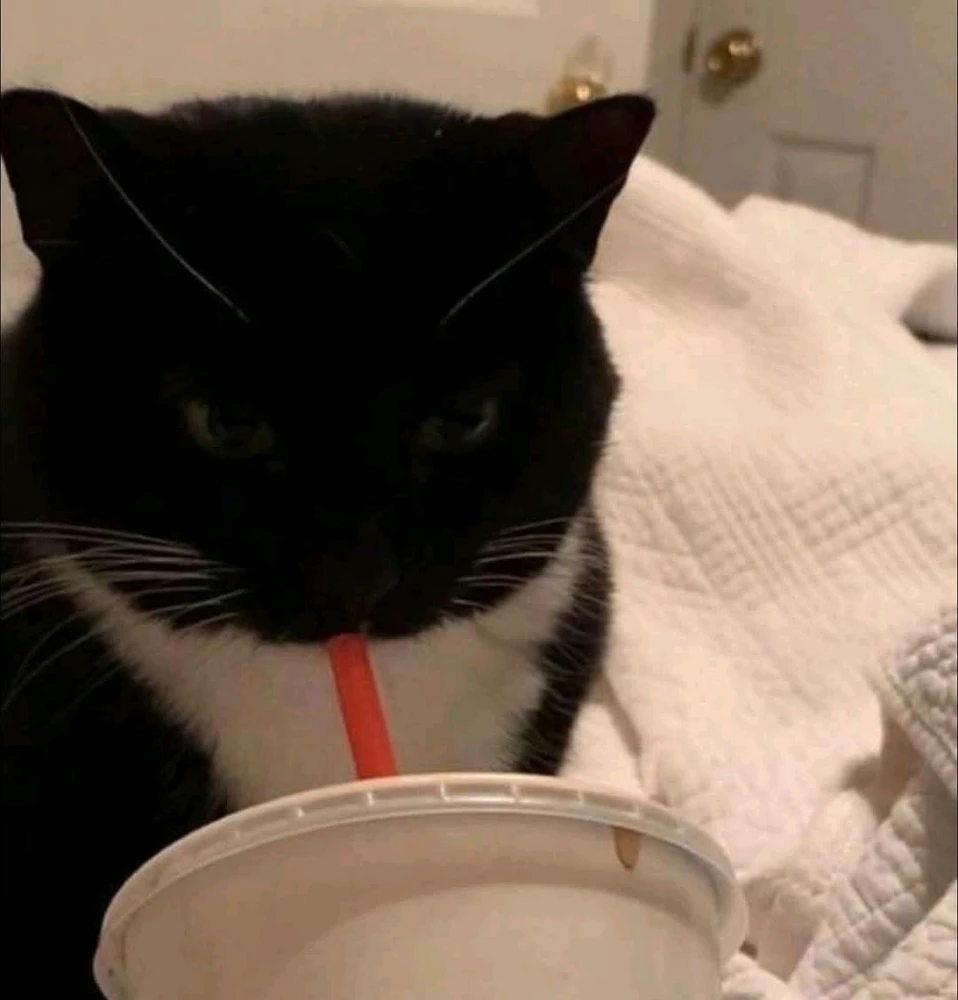 GIF subido por Antonio