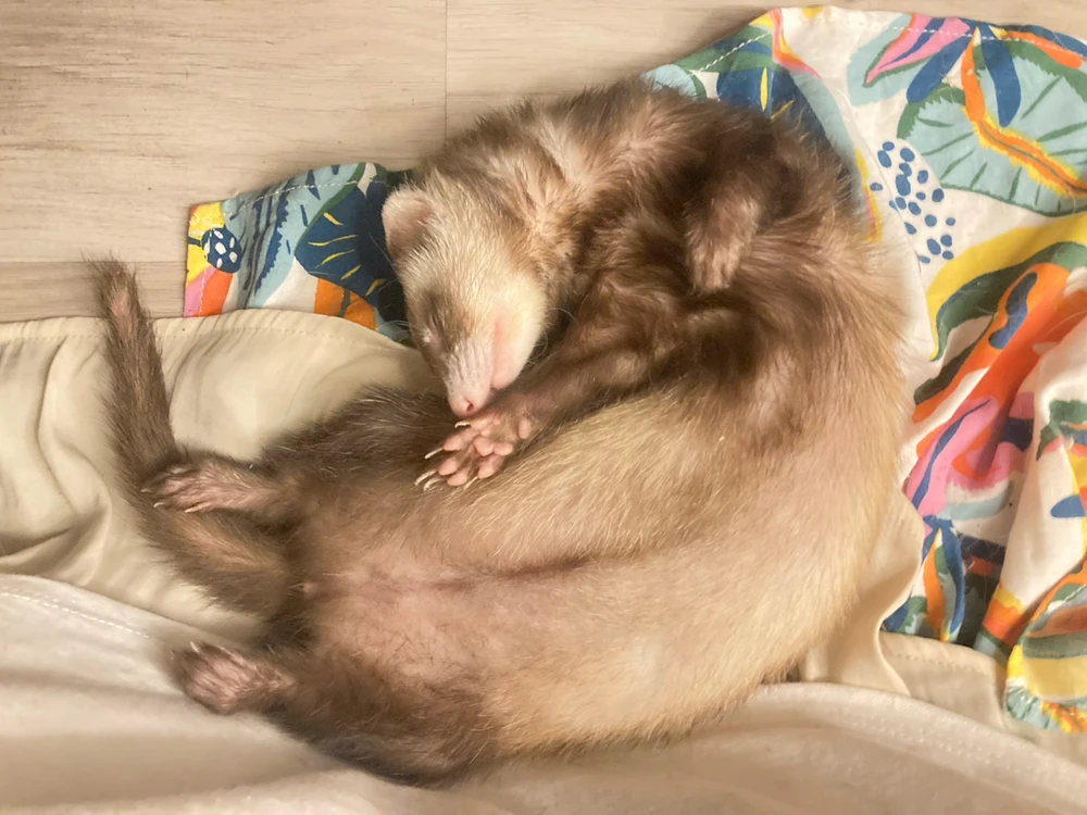 GIF uploaded by Velvet🍓