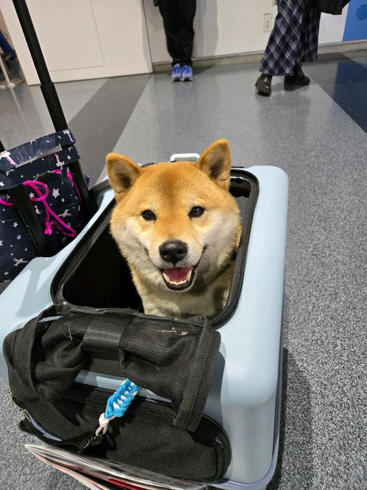 GIF uploaded by Noah