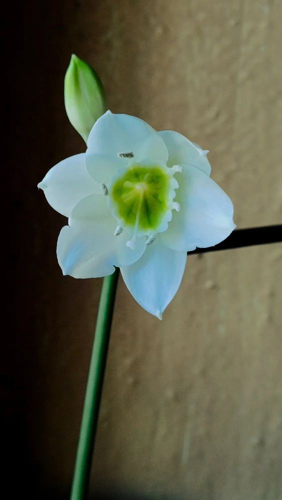 Гіфку завантажив Ruslana