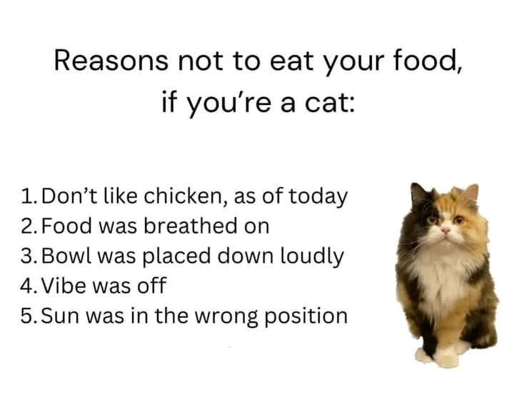 GIF uploaded by Michael