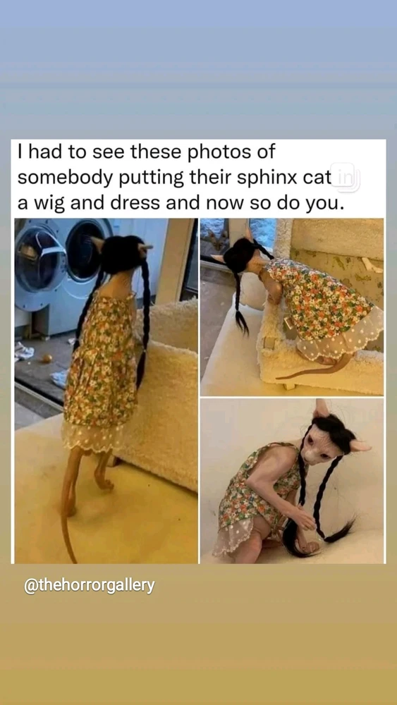 GIF otpremio/la Dusan