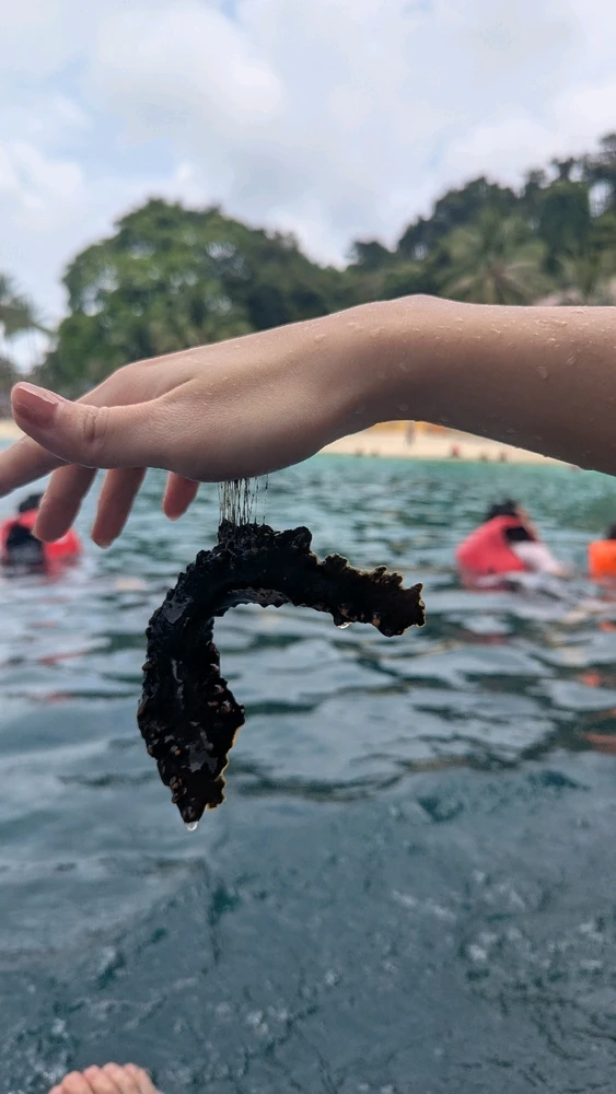 GIF uploaded by Lahung