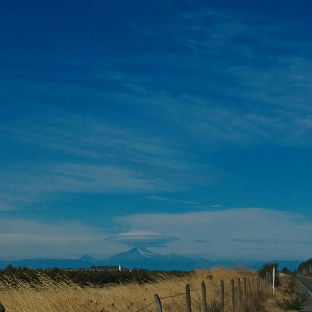 ˡᵉⁿᵗⁱᶜᵘˡᵃʳ