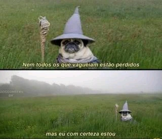 GIF enviado por Kauê