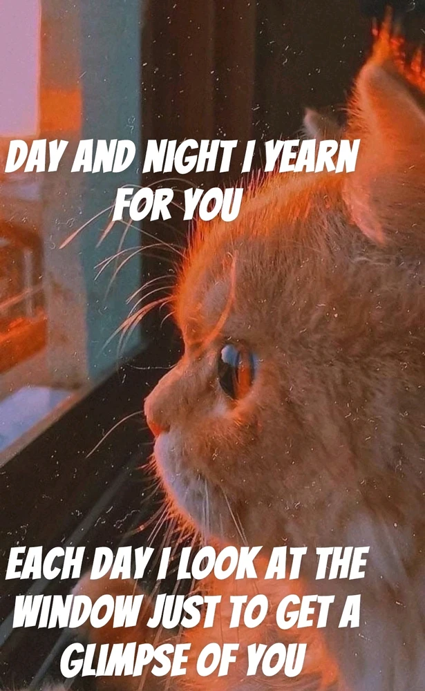 GIF uploaded by Sakib