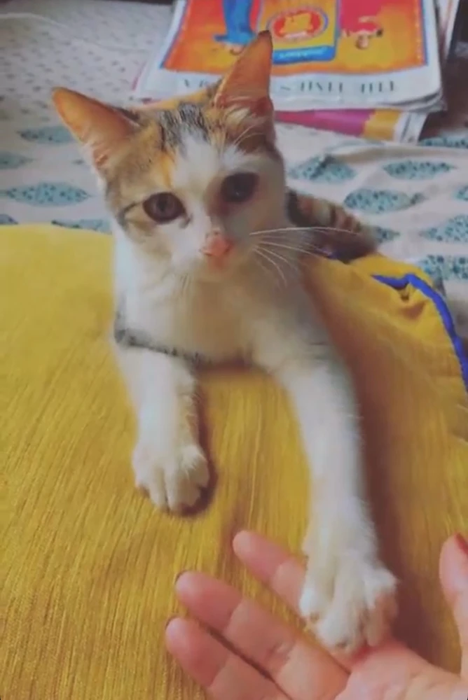 Image uploaded by Pratz