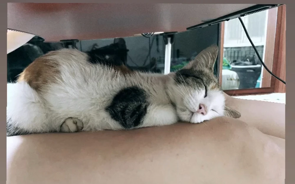 Image uploaded by Pratz