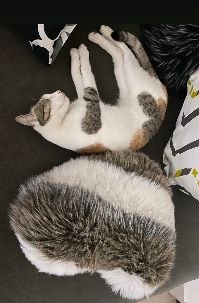 Image uploaded by Pratz