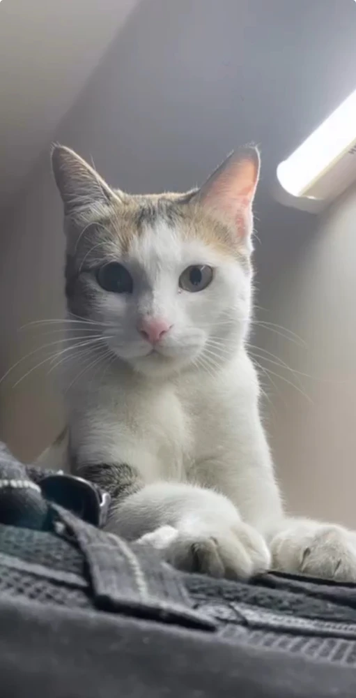 Image uploaded by Pratz