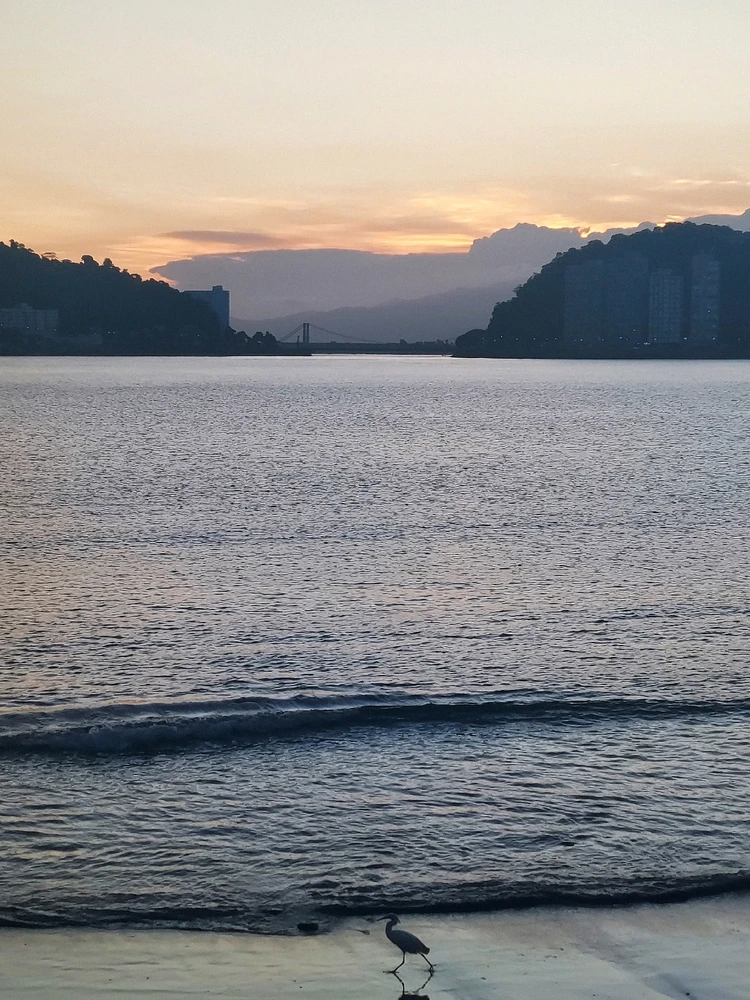 Imagem enviada por Fernando