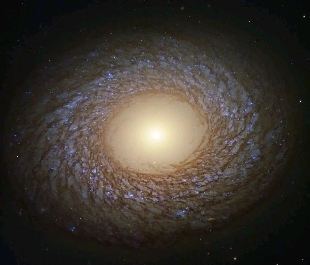 Imagen subida por Dann Silva