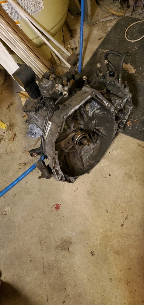 Image uploaded by Joe