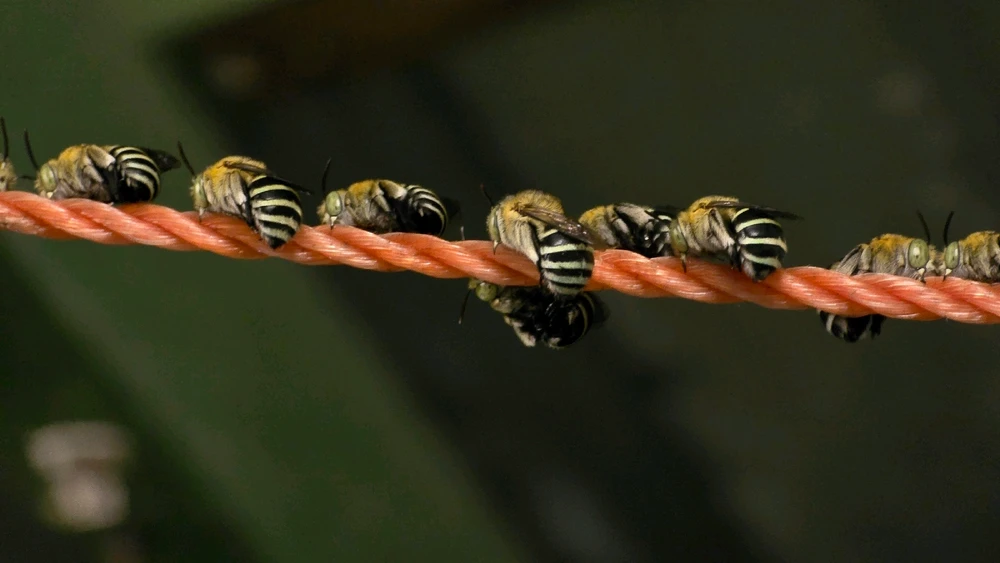 Gambar diunggah dening Dawsy