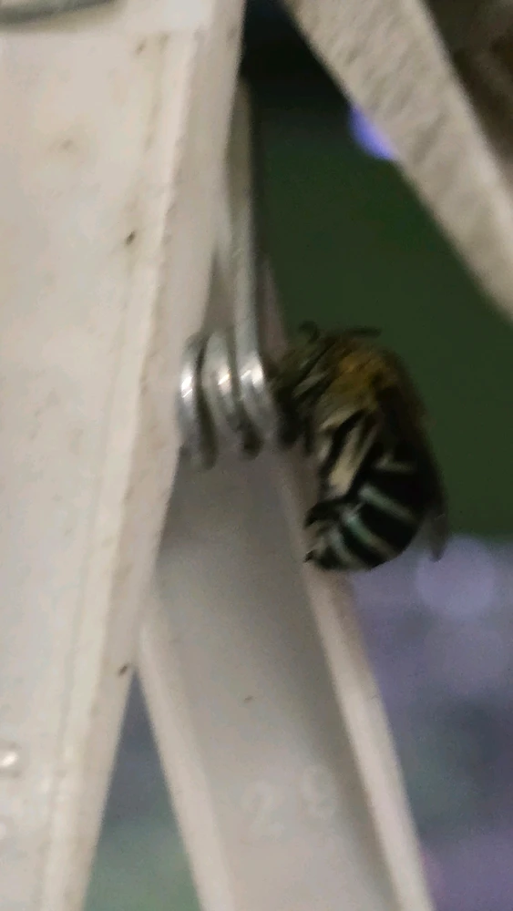 Gambar diunggah dening Dawsy