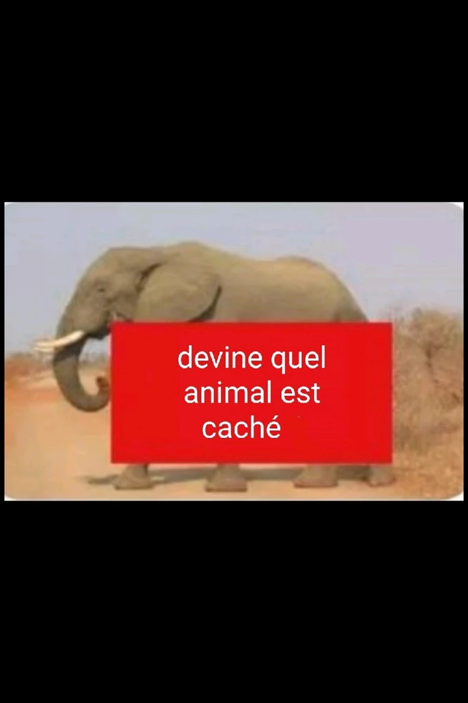 GIF ajouté par lionoil