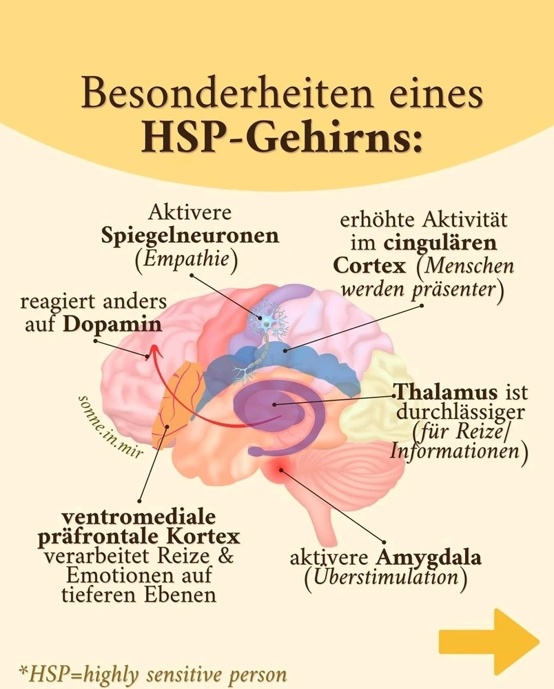 Die zentralen Eigenschaften von hochsensiblen Menschen,