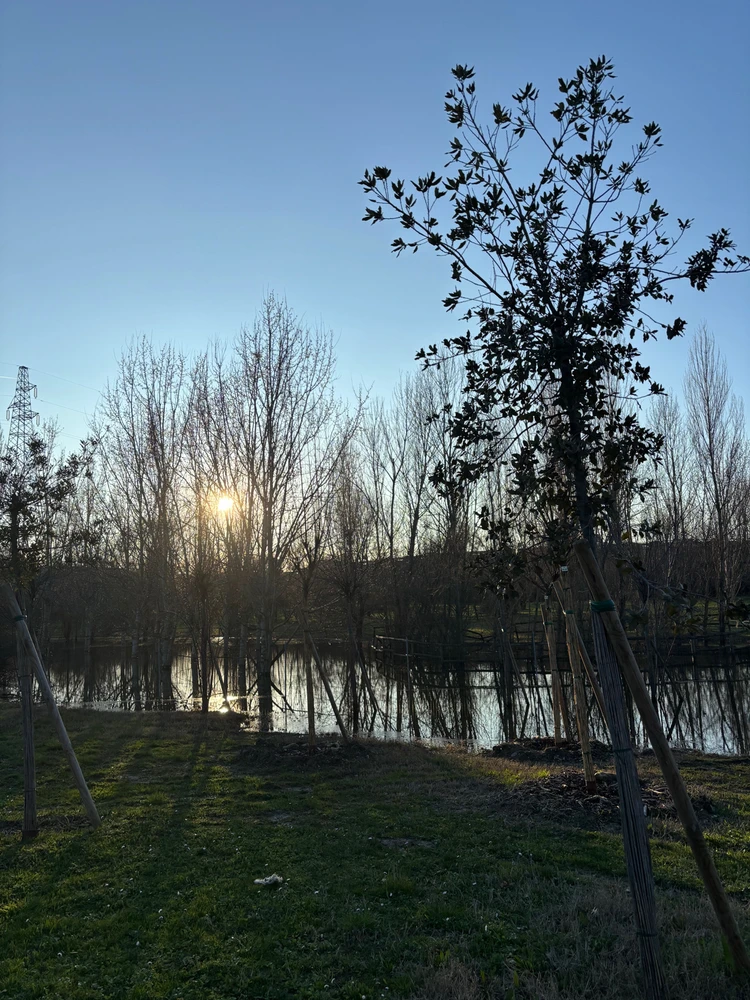 Immagine caricata da Paolo