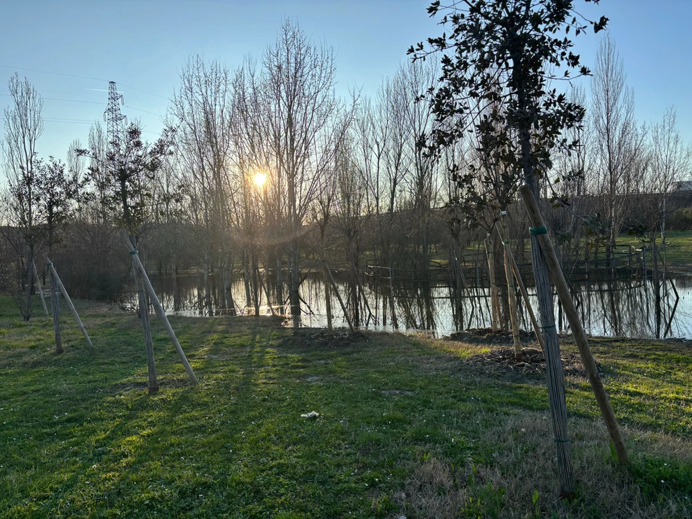 Immagine caricata da Paolo