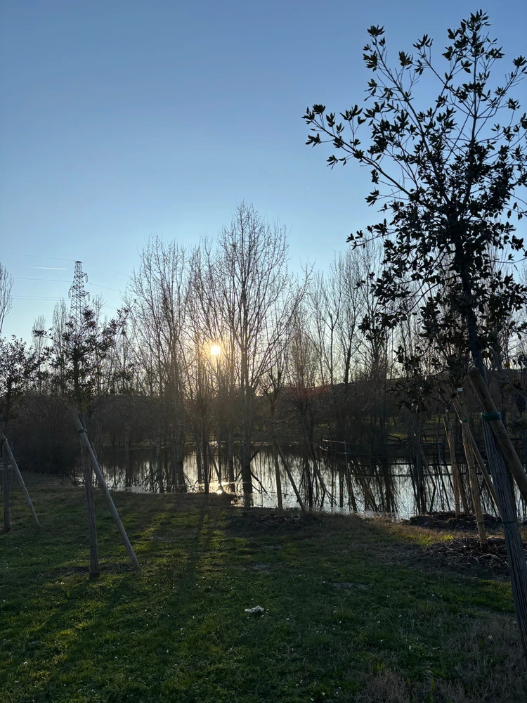 Immagine caricata da Paolo