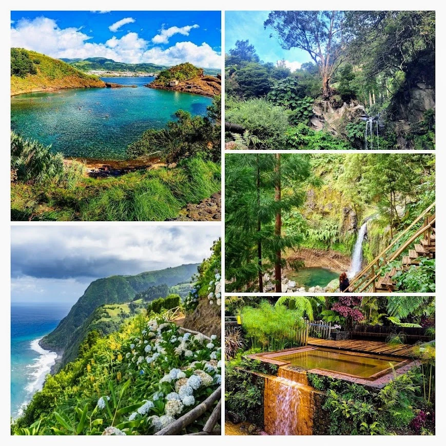 Image uploaded by Thomas