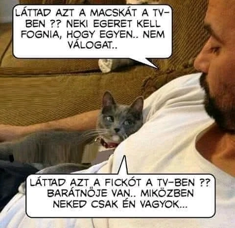 vanazúgy által feltöltött GIF