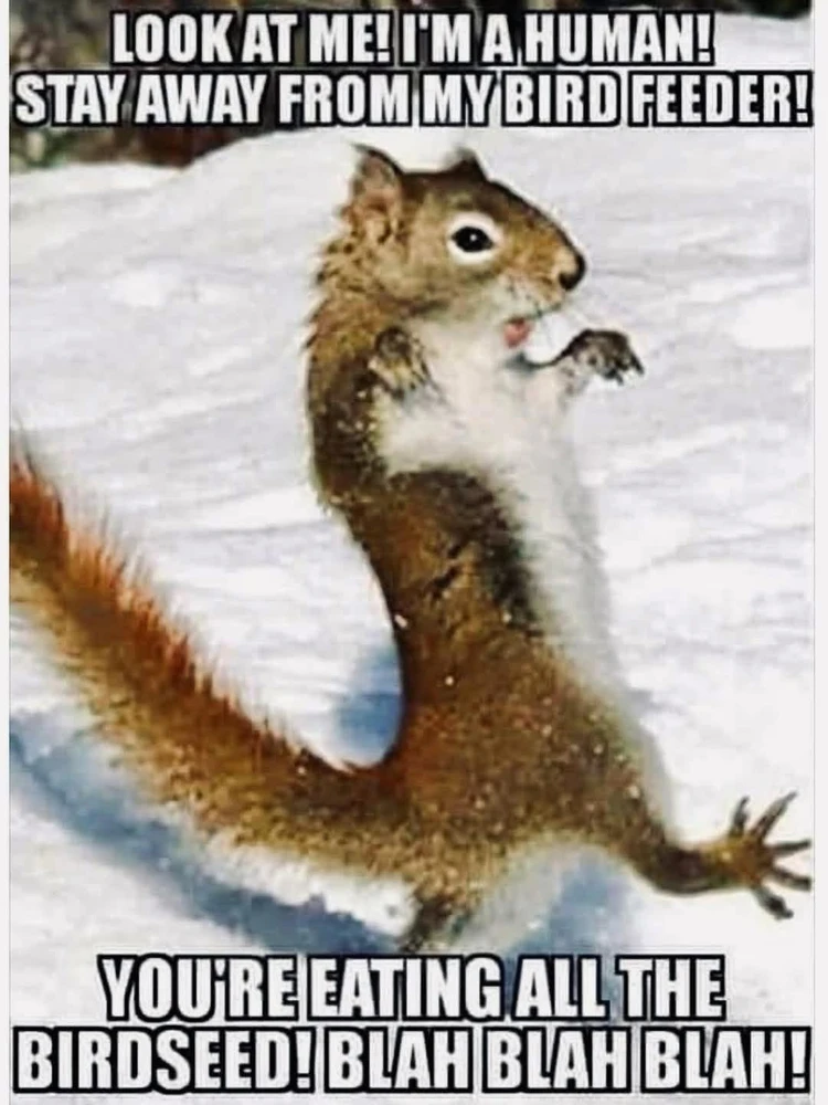 GIF uploaded by Jorge