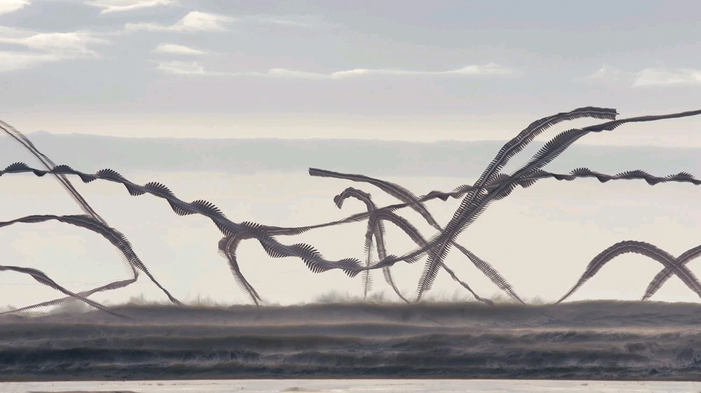 Image ajoutée par Dorian🐞