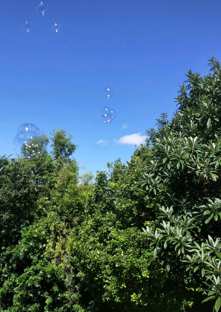 GIF uploaded by Danielle