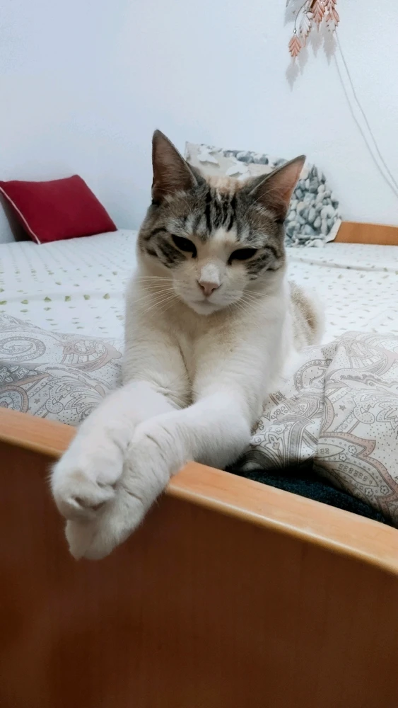 DianaがアップロードしたGIF