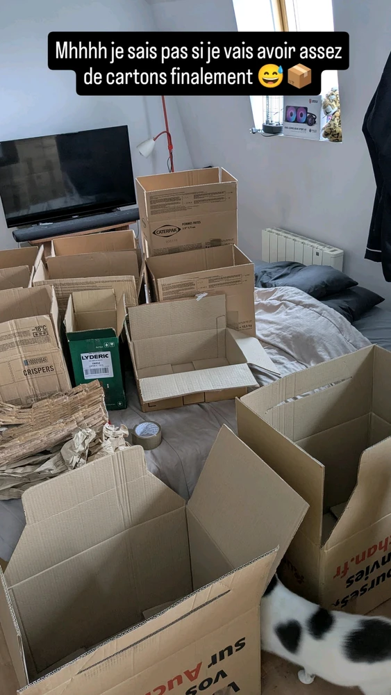 Image ajoutée par Kevin