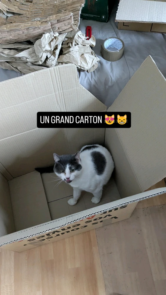 Image ajoutée par Kevin