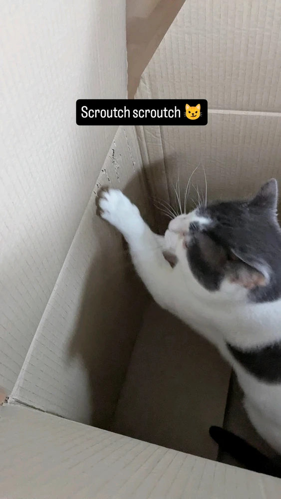 Image ajoutée par Kevin