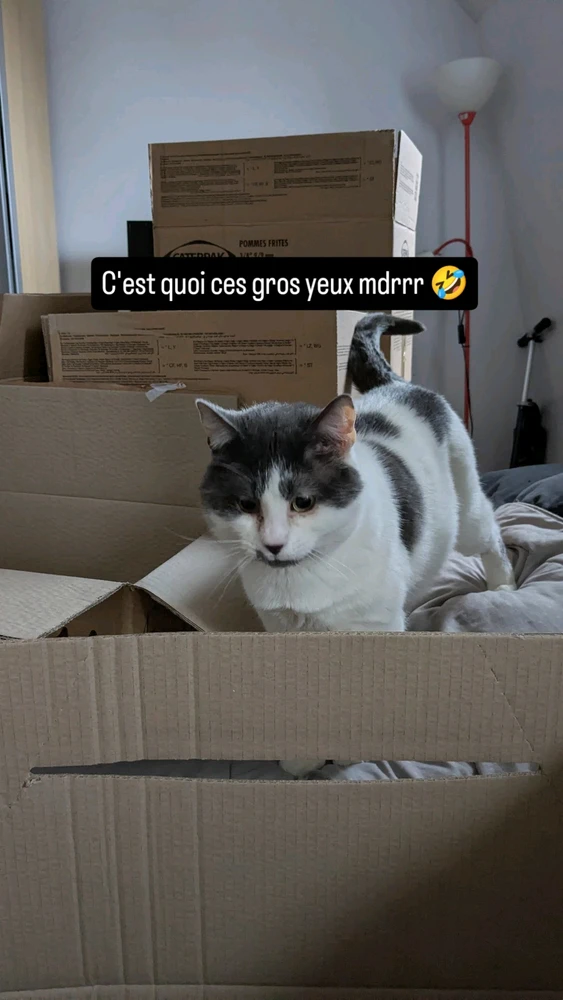 Image ajoutée par Kevin