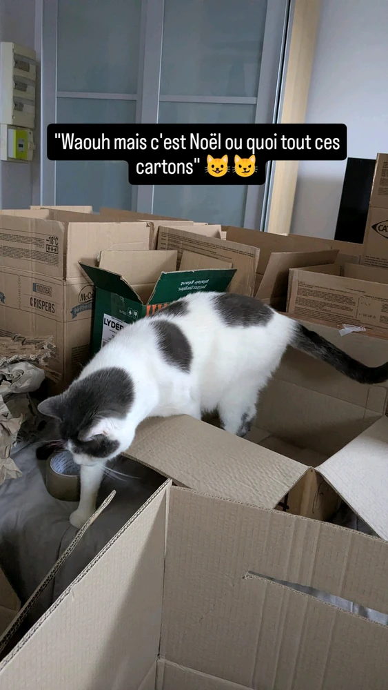 Image ajoutée par Kevin