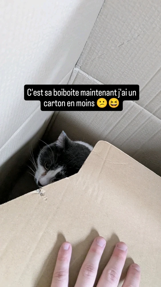 Image ajoutée par Kevin