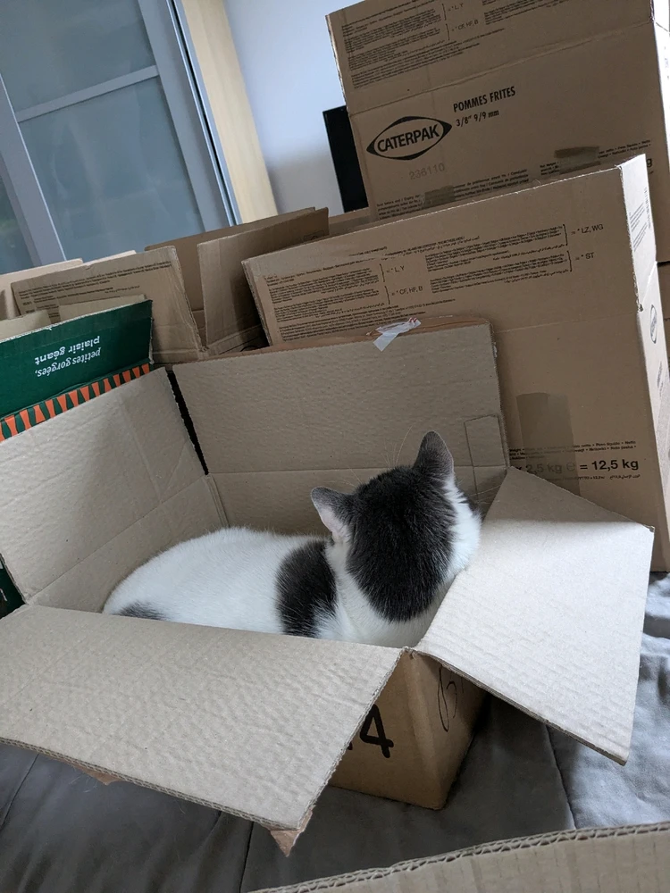 Image ajoutée par Kevin