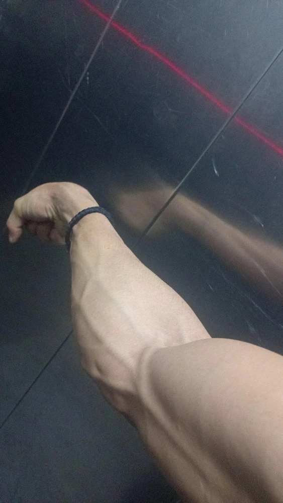 GIF uploaded by Sammy