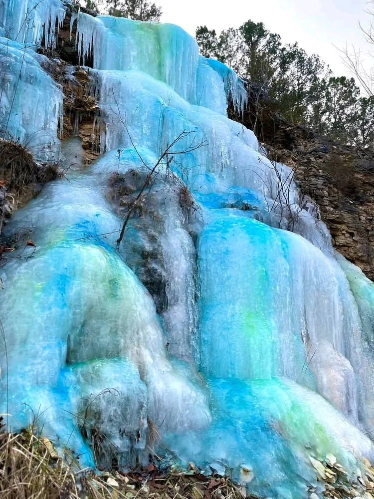 Image uploaded by Ally