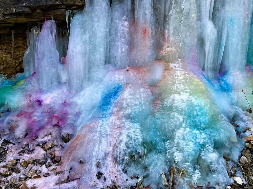 Image uploaded by Ally